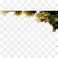 欧式绿树场景美景-空若网 欧式绿树场景美景-空若网