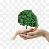 ������-������