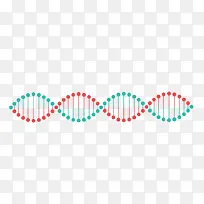 ʸ��DNA-������