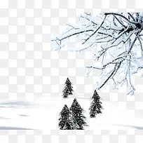 ���챳���ز�-������