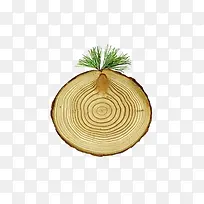 ���ݵ�ľͷ-������