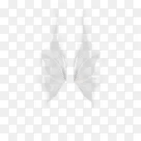 ����ɫ���-������