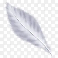 ��ë���  ��ɫ��ë-������