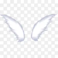 ��ɫΨ����ë���-������