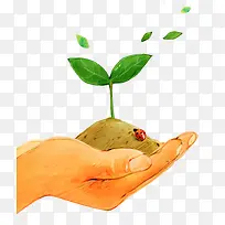 手绘手捧绿植-空若网 手绘手捧绿植-空若网