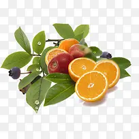 ˮ�����켾-������