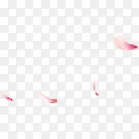 高清摄影活动海报花瓣飘洒-空若网 高清摄影活动海报花瓣飘洒-空若网