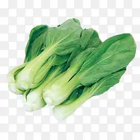食物图片素材卡通食物图片 蔬菜-空若网 食物图片素材卡通食物图片 蔬菜-空若网