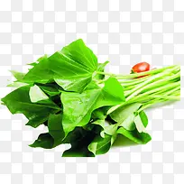 美味的食物-空若网 美味的食物-空若网