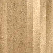 ����ֽ����-������