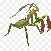 ����ŷ����붯��-����-������