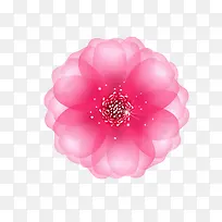 水彩大红花二-空若网 水彩大红花二-空若网