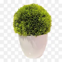 ��ɫ��������-������