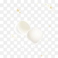 白色贝壳-空若网 白色贝壳-空若网