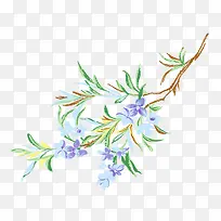 枝叶-空若网 枝叶-空若网