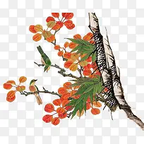 ��֦-������