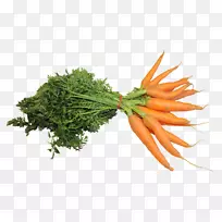 ���ܲ�����֭�߲����ʺ��ܲ�-������