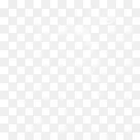 白色漂亮孔雀-空若网 白色漂亮孔雀-空若网