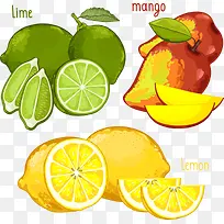 矢量青柠水果-空若网 矢量青柠水果-空若网