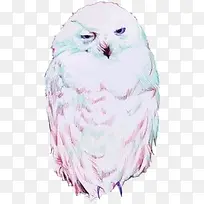 手绘彩色羽毛老鹰-空若网 手绘彩色羽毛老鹰-空若网