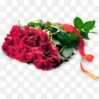 玫瑰花-空若网 玫瑰花-空若网