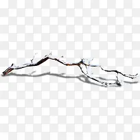 冬季地上的树枝-空若网 冬季地上的树枝-空若网