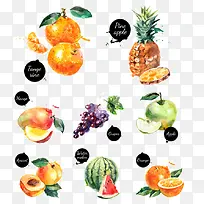 çÍ·×Ë®²ÊË®¹û¹ûÈâ-¿ÕÈôÍø çÍ·×Ë®²ÊË®¹û¹ûÈâ-¿ÕÈôÍø