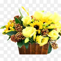 高清摄影黄色的茉莉花效果-空若网 高清摄影黄色的茉莉花效果-空若网