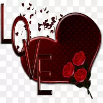 �����Ļ����˽�-��������-������