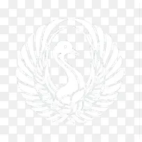 手绘天鹅-空若网 手绘天鹅-空若网