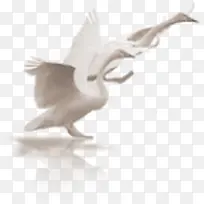 ���-������