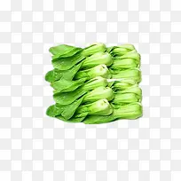 �Ϻ���-������