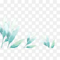 水彩叶片-空若网 水彩叶片-空若网