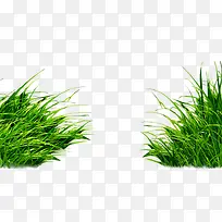 草-空若网 草-空若网