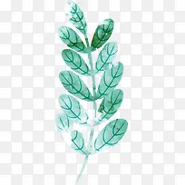 绿色水彩美丽春季小草-空若网 绿色水彩美丽春季小草-空若网