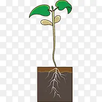 绿色春季清新草苗-空若网 绿色春季清新草苗-空若网