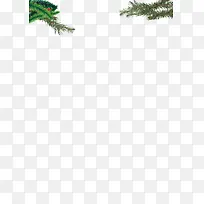 ʥ����-������