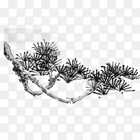手绘水墨松树-空若网 手绘水墨松树-空若网