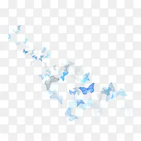 漂浮的蝴蝶-空若网 漂浮的蝴蝶-空若网