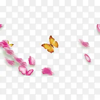 蝴蝶-空若网 蝴蝶-空若网