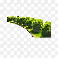 ·�ߵ������ŵ���-������