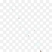 蒲公英白色背景图-空若网 蒲公英白色背景图-空若网