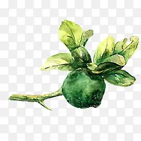 ˮ���߲�-������