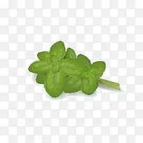 ÂÌÉ«Êß²Ë-¿ÕÈôÍø ÂÌÉ«Êß²Ë-¿ÕÈôÍø