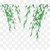 手绘竹叶-空若网 手绘竹叶-空若网