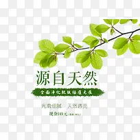 ��ױƷ���ݴ����İ�-������