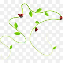 扁平手绘绿色的藤蔓昆虫-空若网 扁平手绘绿色的藤蔓昆虫-空若网