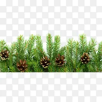 ������ ����-������