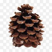 ����ʵ��-������