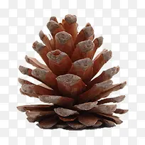 ����ʵ��-������